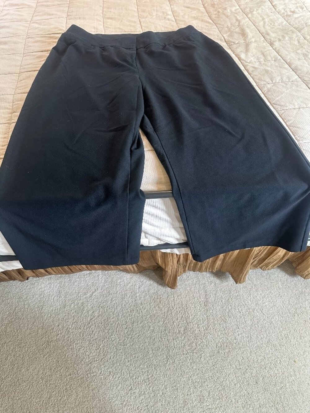 Lane Bryant The Allie Plus Size 20R Black Wide Leg Career Dress Pants